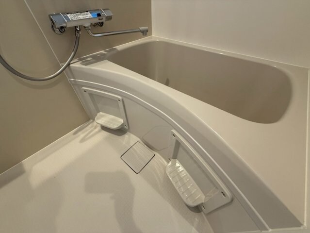 プルメリア阪大前の物件内観写真