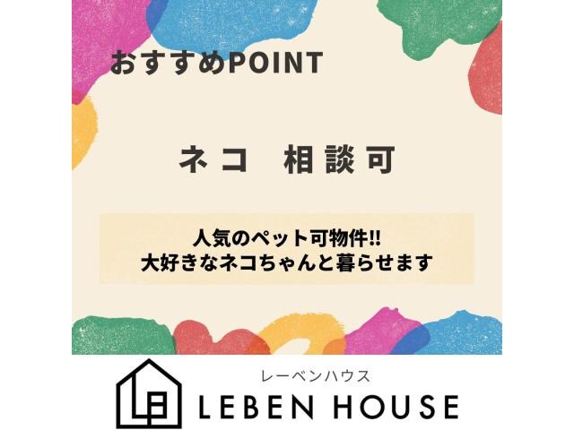 メゾンクレールモンテ天久の物件内観写真