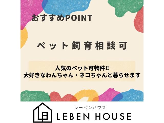 メゾンクレールモンテ天久の物件内観写真