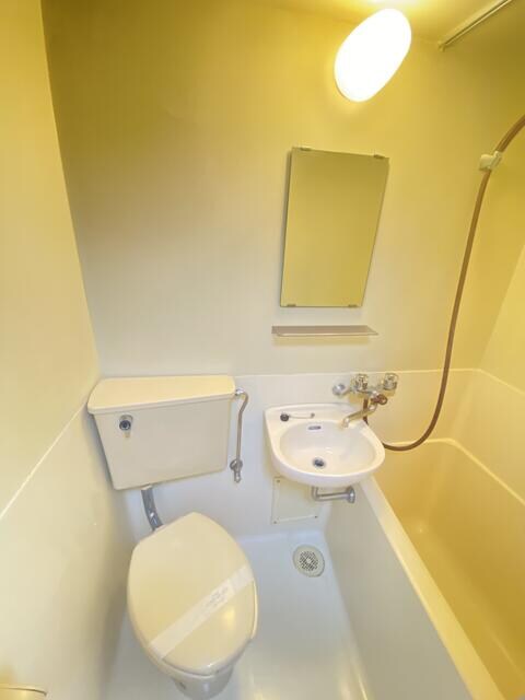 新小岩駅 徒歩9分 3階の物件内観写真