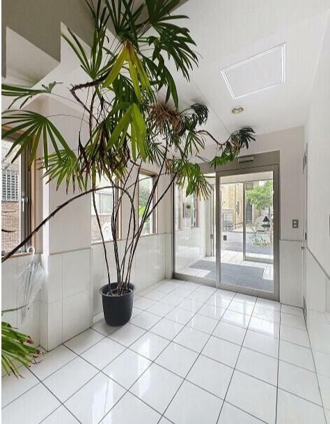 篠崎駅 徒歩4分 1階の物件外観写真