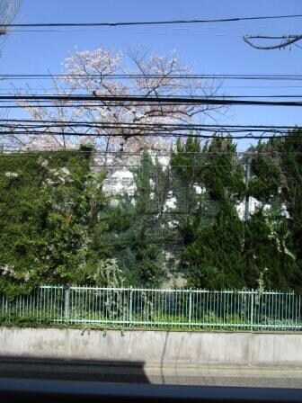 本駒込駅 徒歩6分 2階の物件内観写真