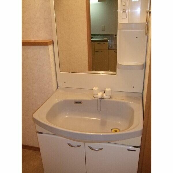 南越谷駅 徒歩18分 2階の物件内観写真