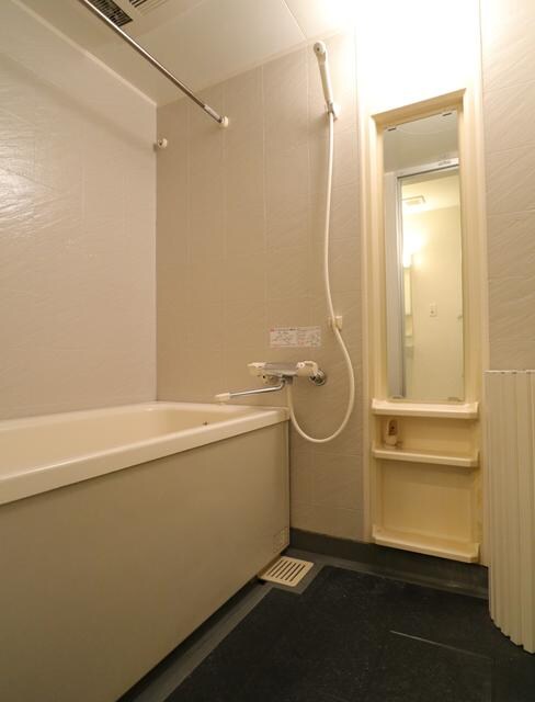 新小岩駅 徒歩10分 2階の物件内観写真