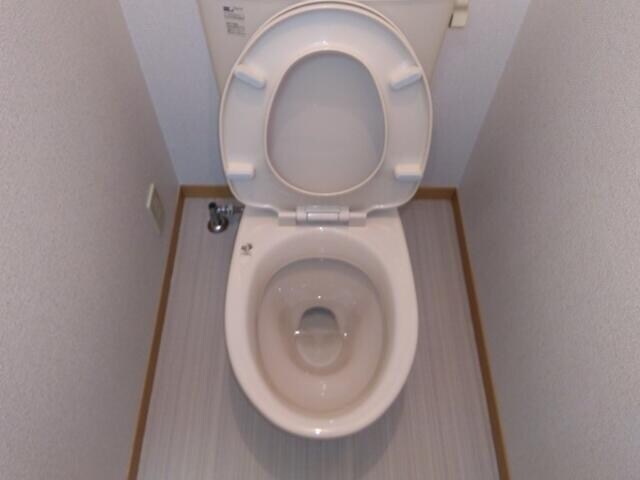 武蔵浦和駅 徒歩10分 2階の物件内観写真