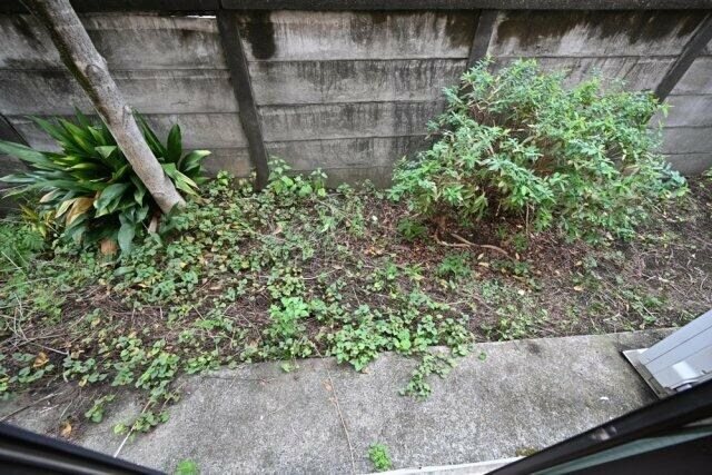 都立家政駅 徒歩3分 1階の物件内観写真