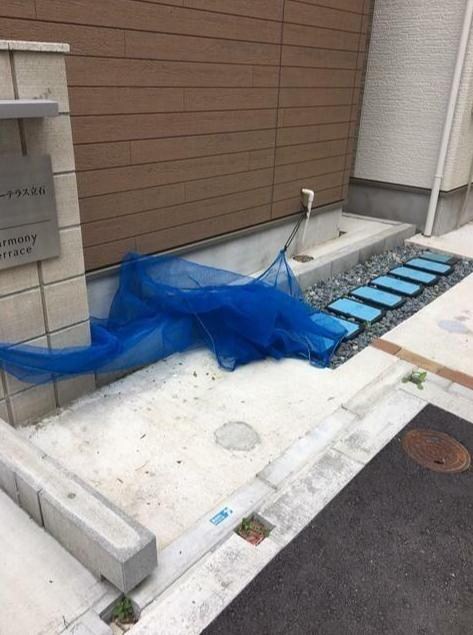 京成立石駅 徒歩4分 2階の物件内観写真