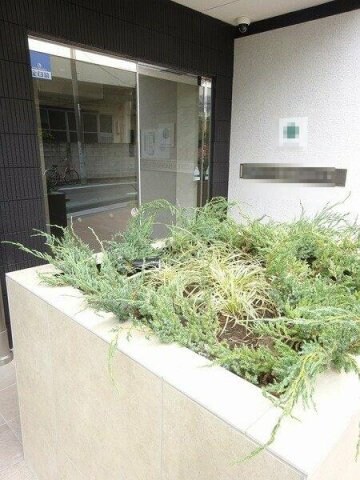 お花茶屋駅 徒歩6分 1階の物件外観写真