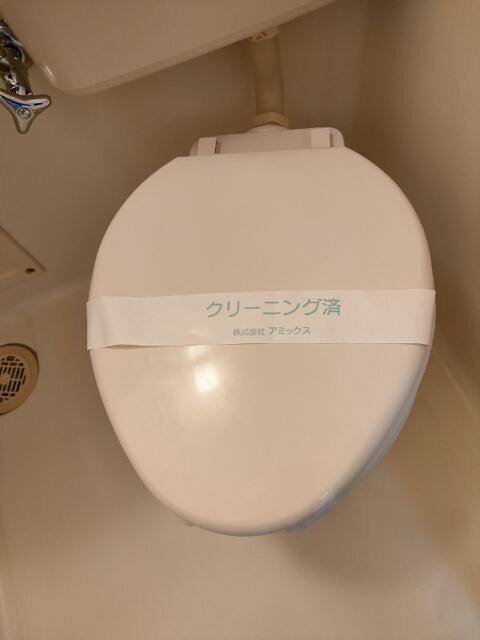 金町駅 徒歩10分 2階の物件内観写真