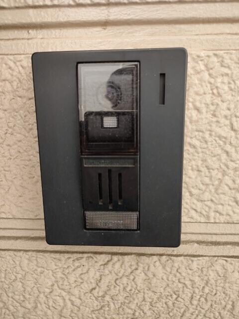 金町駅 徒歩10分 2階の物件内観写真