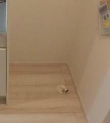 五反野駅 徒歩11分 1階の物件内観写真