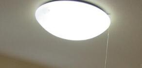 東十条駅 徒歩6分 2階の物件内観写真