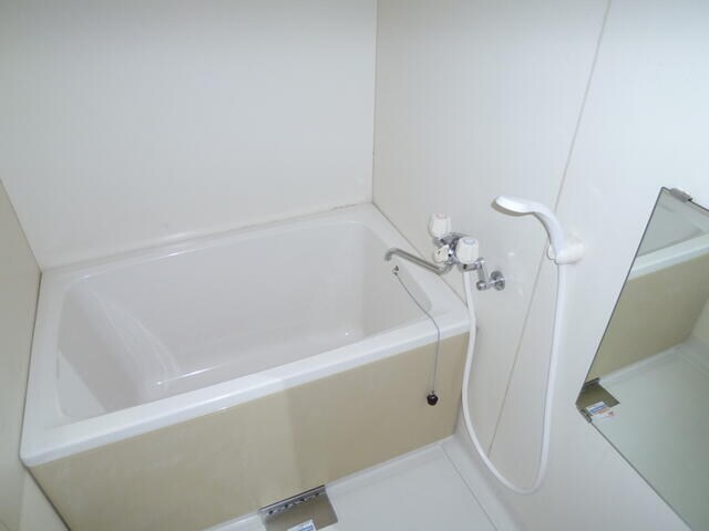 松戸駅 徒歩8分 1階の物件内観写真