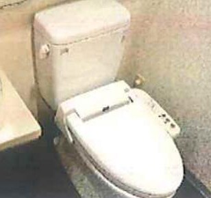 大鳥居駅 徒歩19分 3階の物件内観写真