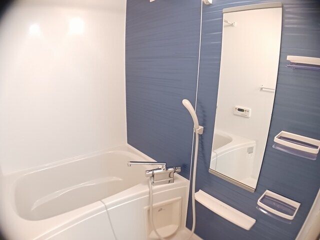 グラン・グラースラフィネの物件内観写真