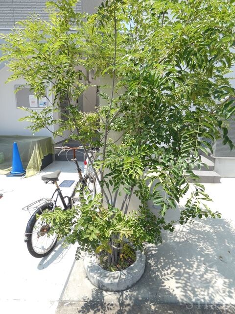 杭瀬駅 徒歩11分 2階の物件外観写真