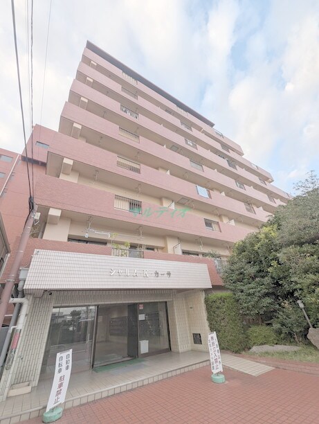 平井駅 徒歩10分 1階の物件外観写真