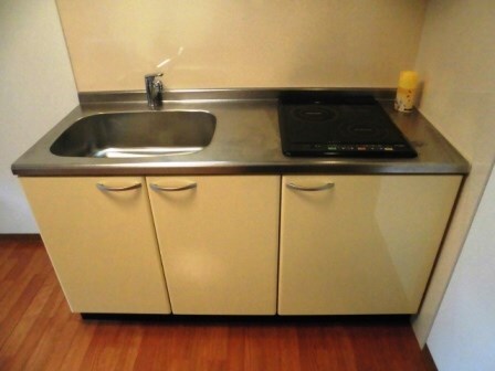 サウスサイド武庫之荘の物件内観写真