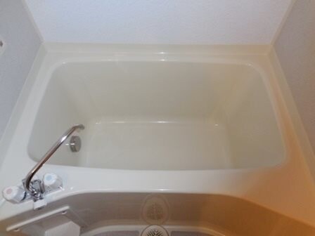 CARPIO85の物件内観写真