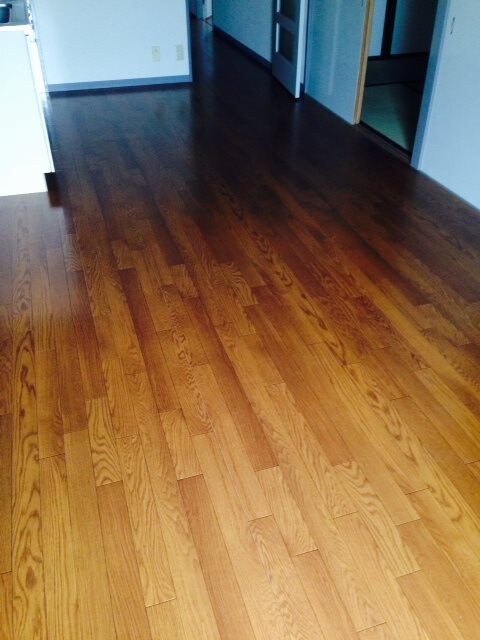 マンションピアの物件内観写真