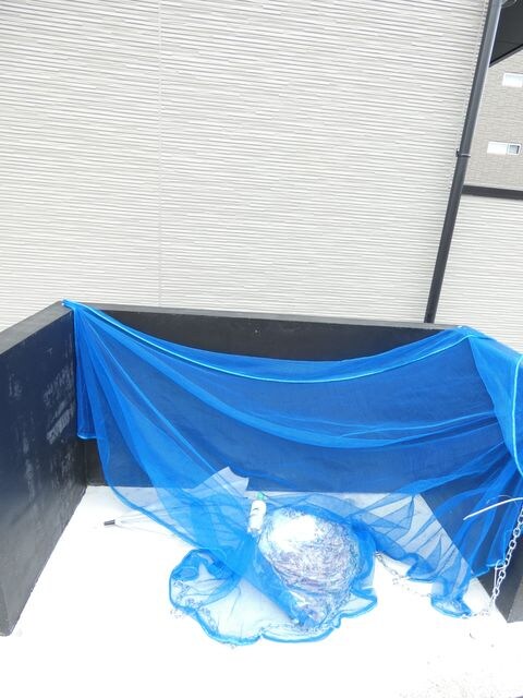 立花駅 徒歩6分 1階の物件外観写真