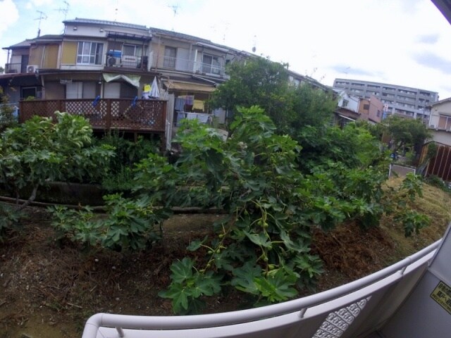 ツインステージ川西の物件内観写真