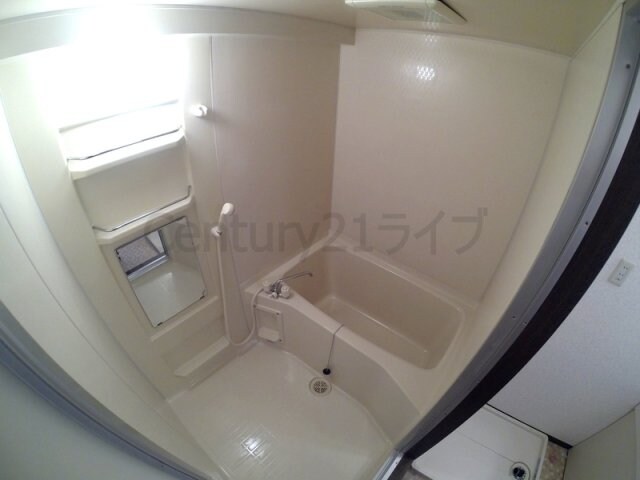 カーサ・ドゥ・テソロの物件内観写真