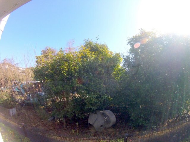 ローレルプラザの物件内観写真