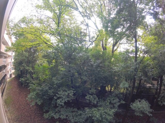 ヴィオレット宝塚の物件内観写真