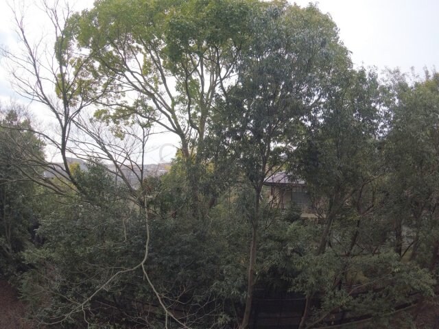 ヴィオレット宝塚の物件内観写真