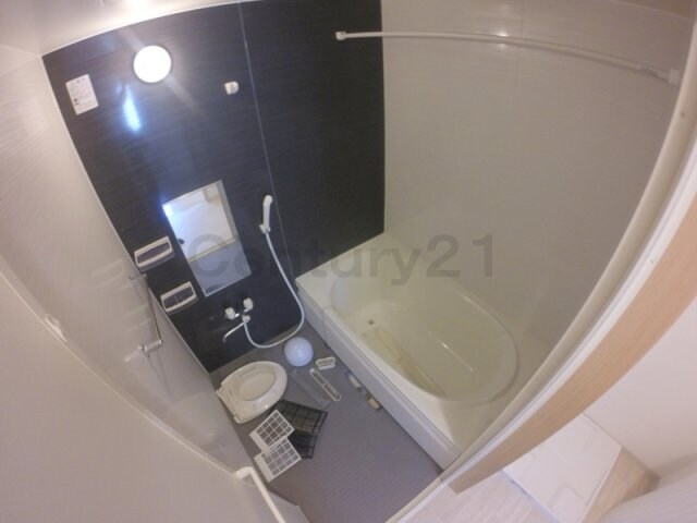 アムールSelvaの物件内観写真