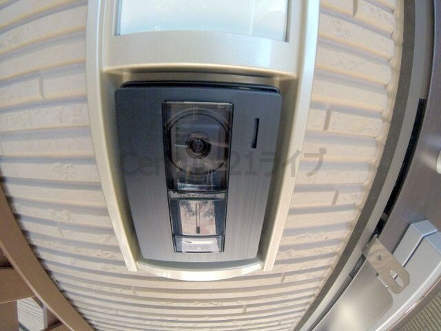 レーブ アルブルの物件内観写真