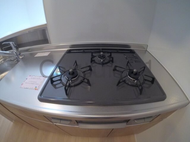 ピアレス綾羽の物件内観写真