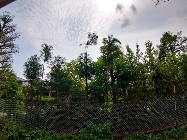 ハイツアベリアの物件内観写真