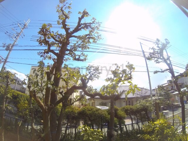 ペアコート仁川の物件内観写真