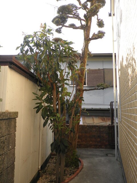 四条畷駅 徒歩12分 1階の物件外観写真