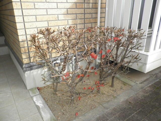 住道駅 徒歩14分 1階の物件外観写真