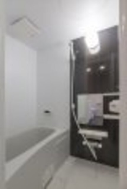 河内花園駅 徒歩8分 1階の物件内観写真