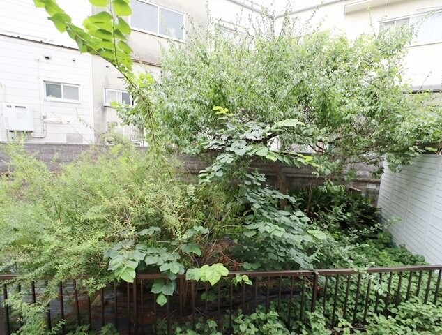 Colina尺谷の物件内観写真