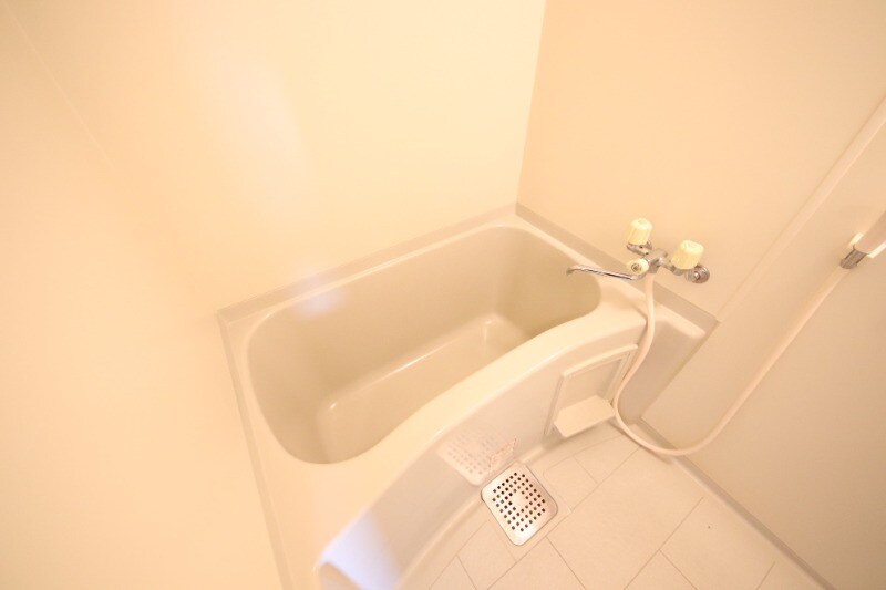 武庫之荘駅 徒歩10分 5階の物件内観写真