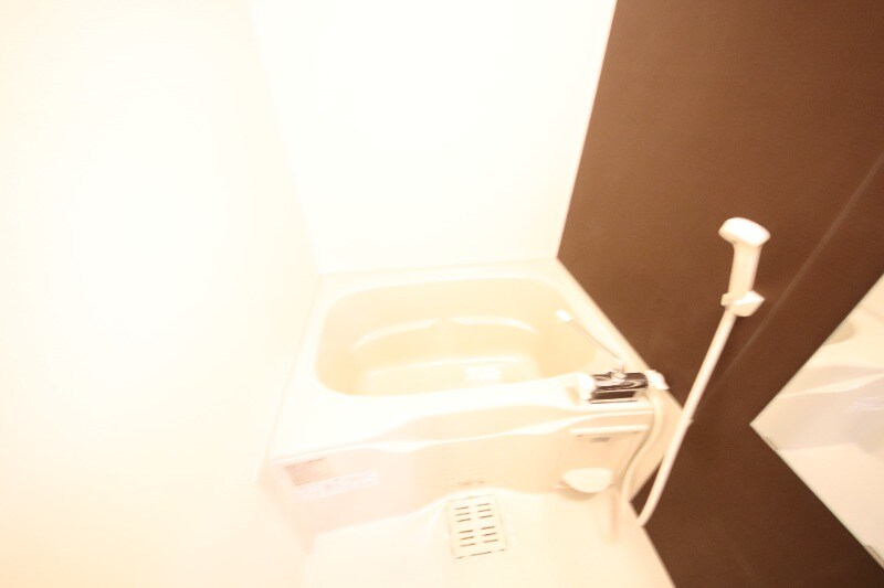 武庫之荘駅 徒歩13分 1階の物件内観写真