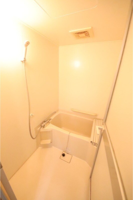 甲子園口駅 徒歩17分 2階の物件内観写真