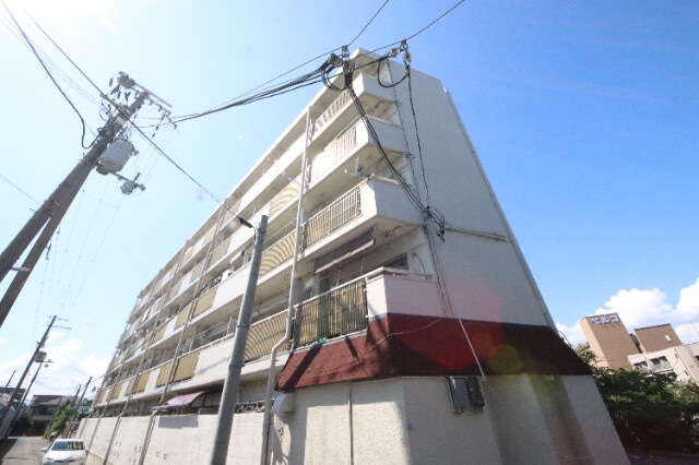 立花駅 徒歩19分 3階の物件外観写真