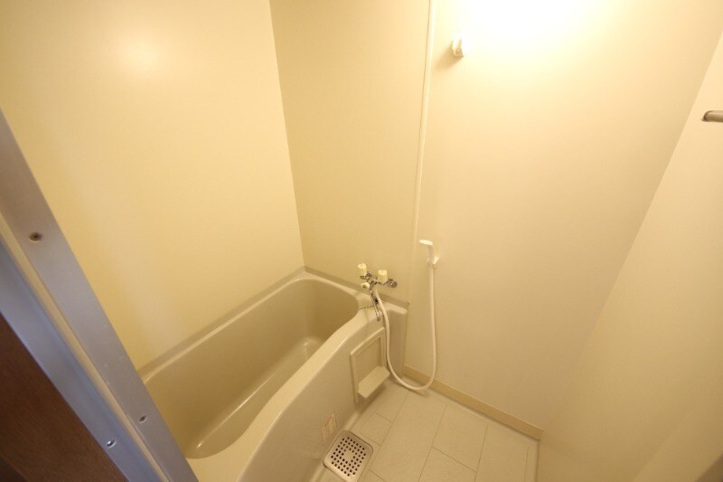 武庫之荘駅 徒歩10分 4階の物件内観写真