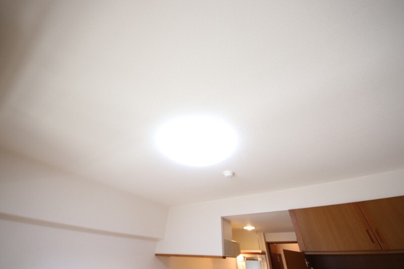 武庫之荘駅 徒歩10分 4階の物件内観写真