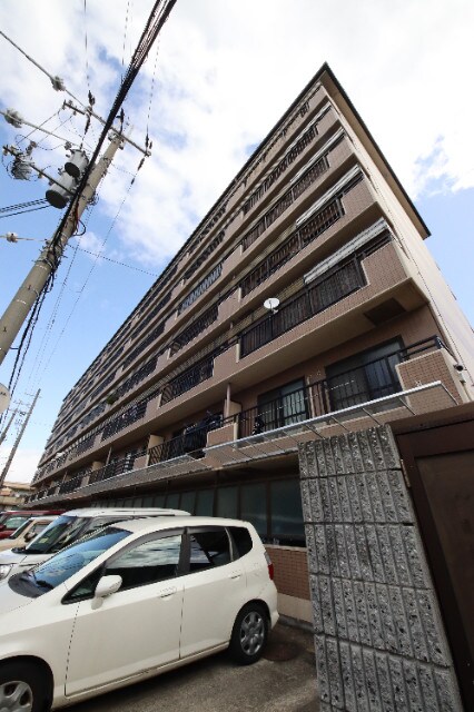 甲子園口駅 徒歩20分 5階の物件外観写真