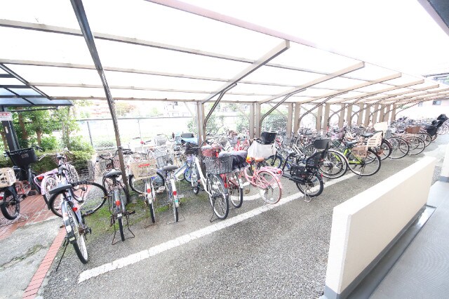 甲子園口駅 徒歩20分 5階の物件外観写真