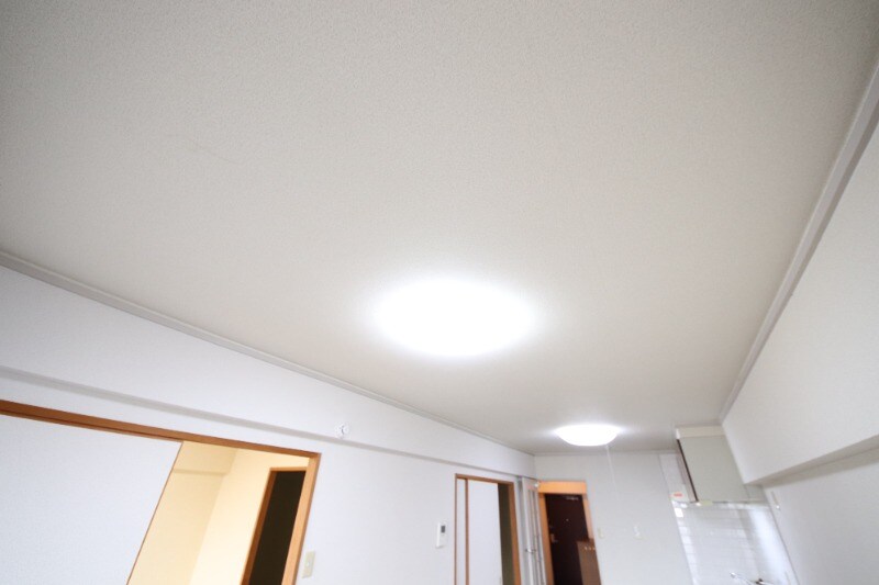 甲子園口駅 徒歩20分 5階の物件内観写真