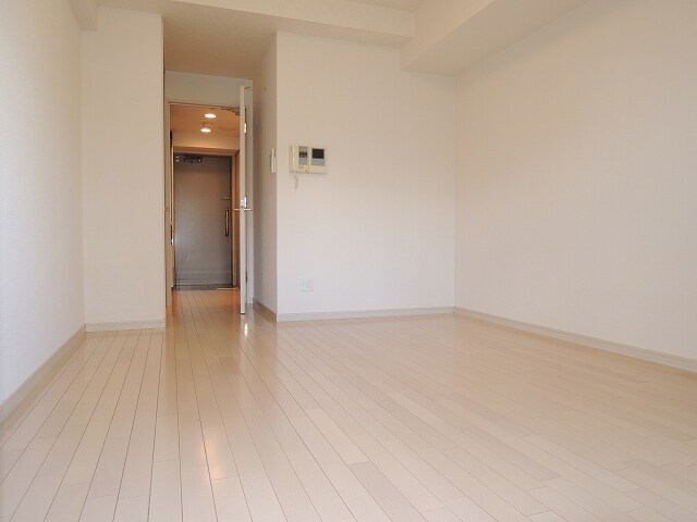 ジュネーゼグラン心斎橋東の物件内観写真