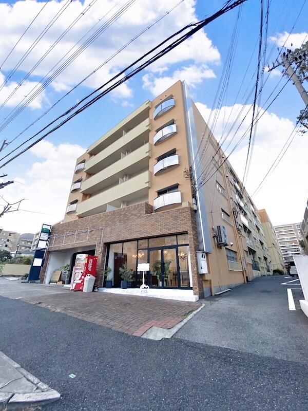 芦屋川駅 徒歩13分 1階の物件外観写真